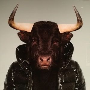 Meet your Posher, Charles